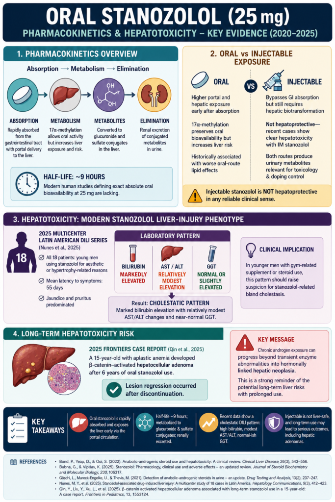 Pharmacokinetics and Hepatotoxicity of Oral Winstrol 25mg Stanozolol