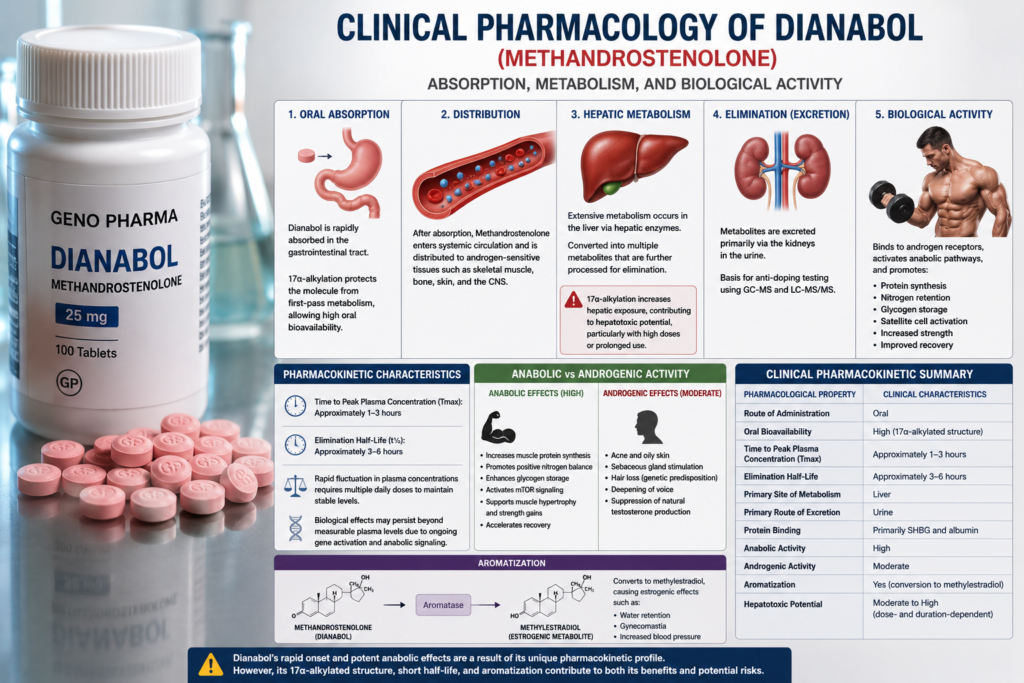 Dianabol for sale Clinical pharmacology